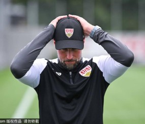 德甲球队斯图加特训练备战比赛
        
    德甲球队斯图加特训练备战比赛